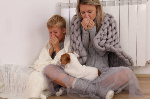 Какие обогреватели лучше: кварцевые или инфракрасные?